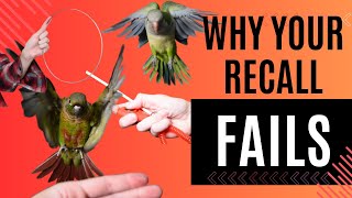 Celebrity Why Recall Fails | Topics Wealth