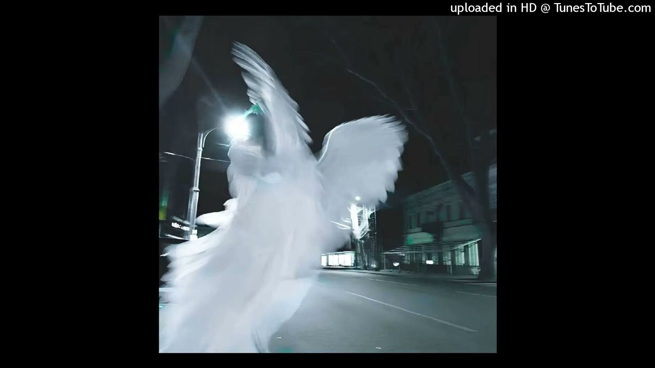 ripsquad x bladee x shinjin type beat - poison