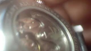 Stauer 1930 Watch