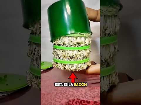Los niños chinos