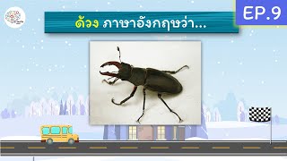 เกมภาษาอังกฤษ 10 ข้อ EP.9 – ฝึก Grammar + คำศัพท์ พร้อมเฉลย screenshot 2