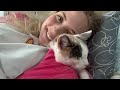 Sugar Ripped Her Stitches Open… Emergency ER Night With Sugar