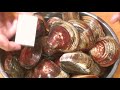 《蛤(ハマグリ)の煮物》・・・・大和の　和の料理《煮物（リハビリ編）》