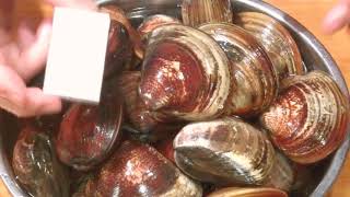 《蛤(ハマグリ)の煮物》・・・・大和の　和の料理《煮物（リハビリ編）》