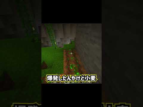 【minecraft】小麦爆発事件 #shorts #マイクラ #モブ #ゲーム実況 #マインクラフト   #minecraft  #初心者  #洞窟