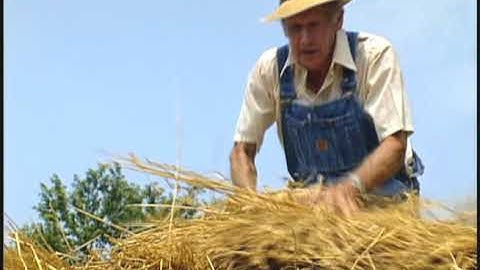Harvest; The Threshing Story