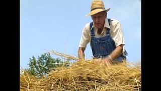 Harvest; The Threshing Story