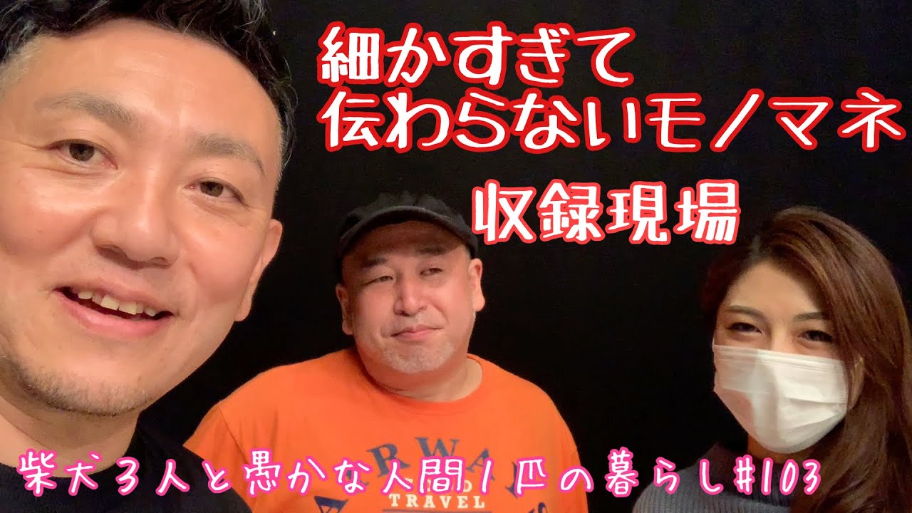 柴日記 유튜브 채널 분석 보고서 Noxinfluencer