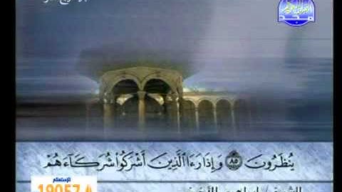 سورة النحل الشيخ إبراهيم الأخضر