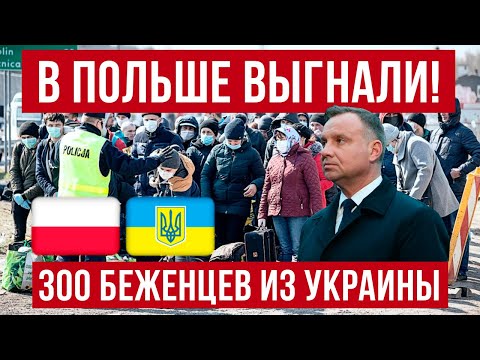 В Польше 300 беженцев из Украины выгнали на улицу?