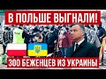 В Польше 300 беженцев из Украины выгнали на улицу?