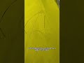 「幸運のキリン」画家になるきっかけになった絵#shorts