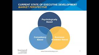 Why Executive Development is Different Than Leadership Development screenshot 1