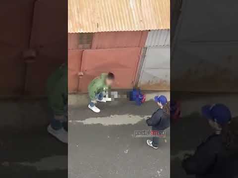 Tânăr surprins călcând un porumbel