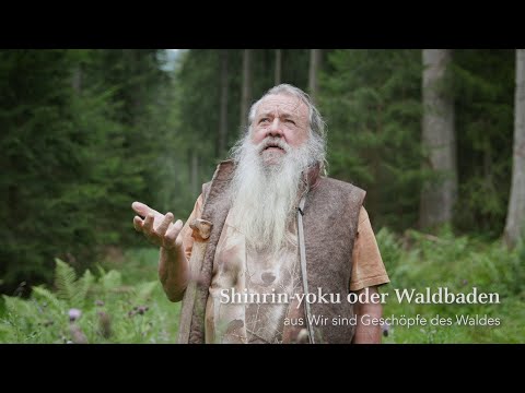 Video: Beste Plätze Zum Waldbaden