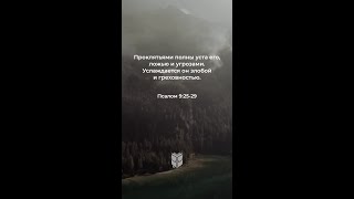 Без Бога в мыслях пустота; ищи Его сердцем #bti #biblevision