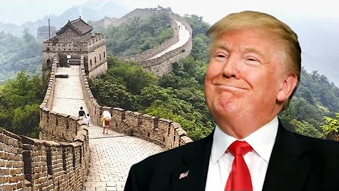 Donald Trump - Numa Numa Wall