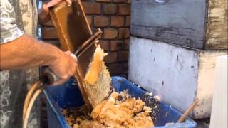 BEEKEEPING: EXTRACTING HONEY BY HAND, 420 Kilos in a day.