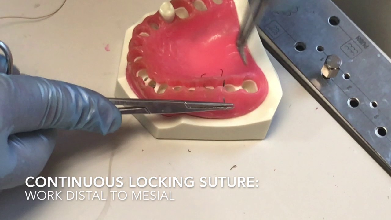 Dental Suturing 102 Basic Instrument Tie, Hand Tie, & Continous YouTube