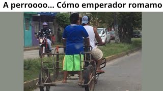 MEMES VARIADOS #333