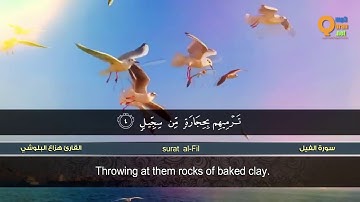 سورة الفيل   القارئ هزاع البلوشي   HD   hazae albulushi   Surat al Fil