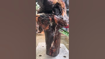 GL gốc hương nu 20kg bác nào vào vc lh:0338.918.991 TGQ