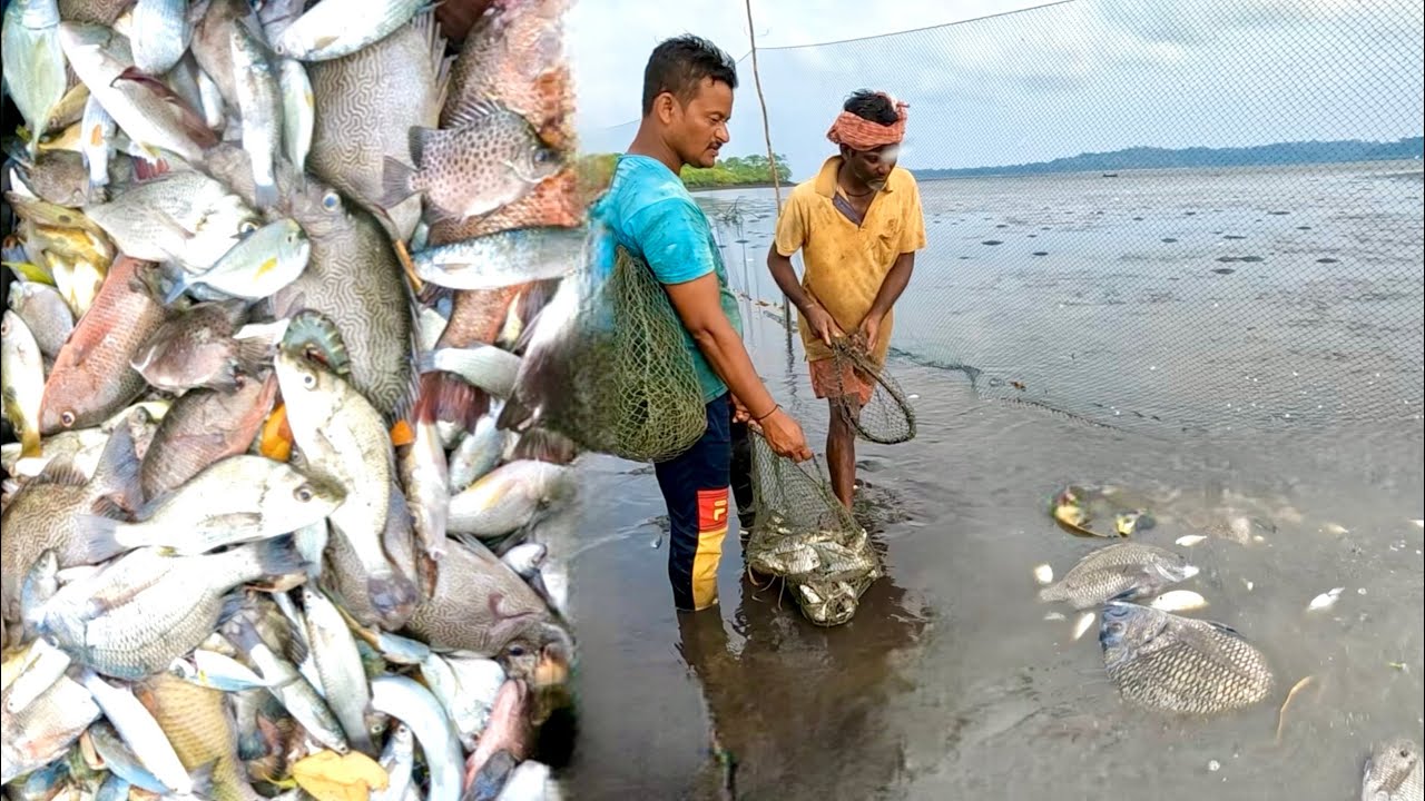 অনেক দিন পর চরপাটার ধামাকা @ANDAMAN_HUNTERS 