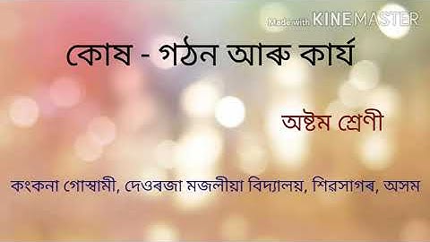 কোষ - গঠন আৰু কাৰ্য .....class 8 science chapter 8...PART 1...