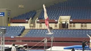 Mallory Reyes Bars Level 10