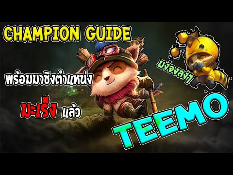 LOL Wild Rift : Champion Guide - Teemo (ทีโม่) l ว่าที่มะเร็งน้อยมาแว้ว l ไปปลูกเห็ดกาน!!!