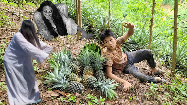 Poor boy went up the mountain to harvest pineapples to sell and was terribly threatened by ghosts