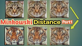 Minkowski Distance and Image Transition Part 1