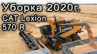 Уборка пшеницы 2020!  Комбайн CAT Lexion 570 R.