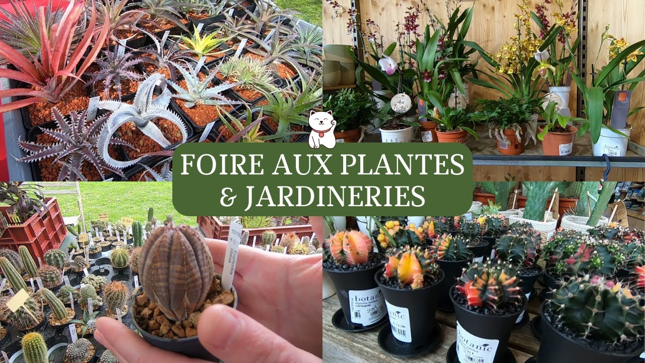 FOIRE AUX PLANTES à Tolosan 🌿🌵JARDINERIE TRUFFAUT & BOTANIC en