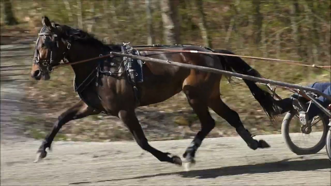 Spaceman Jog Universal Tile 20240415