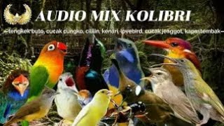 AUDIO MIX KOLIBRI_TENGKEK BUTO_CUCAK CUNGKO_CILILIN_KENARI_PERENJAK_CUCAK JENGGOT_LOVEBIRD_KATEM!¡