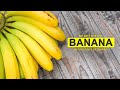 Allah ki naimatein  benefits of  bananas in the light of quran  masala tv