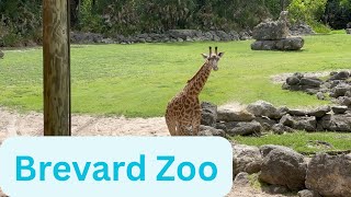 We Went to the Brevard Zoo | A Zoo Visit