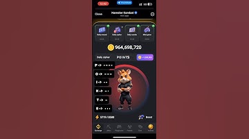 13  August Hamster Kombat Daily Cipher Code