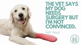 Q) My vet says my dog needs surgery but I am not convinced │ Twin Trees Vet Talk (FREE VET ADVICE)