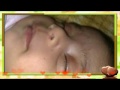 نانسي عجرم شاطر شاطر mp3