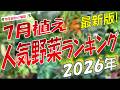 7月植え人気野菜ランキングBest15(2026年最新版)