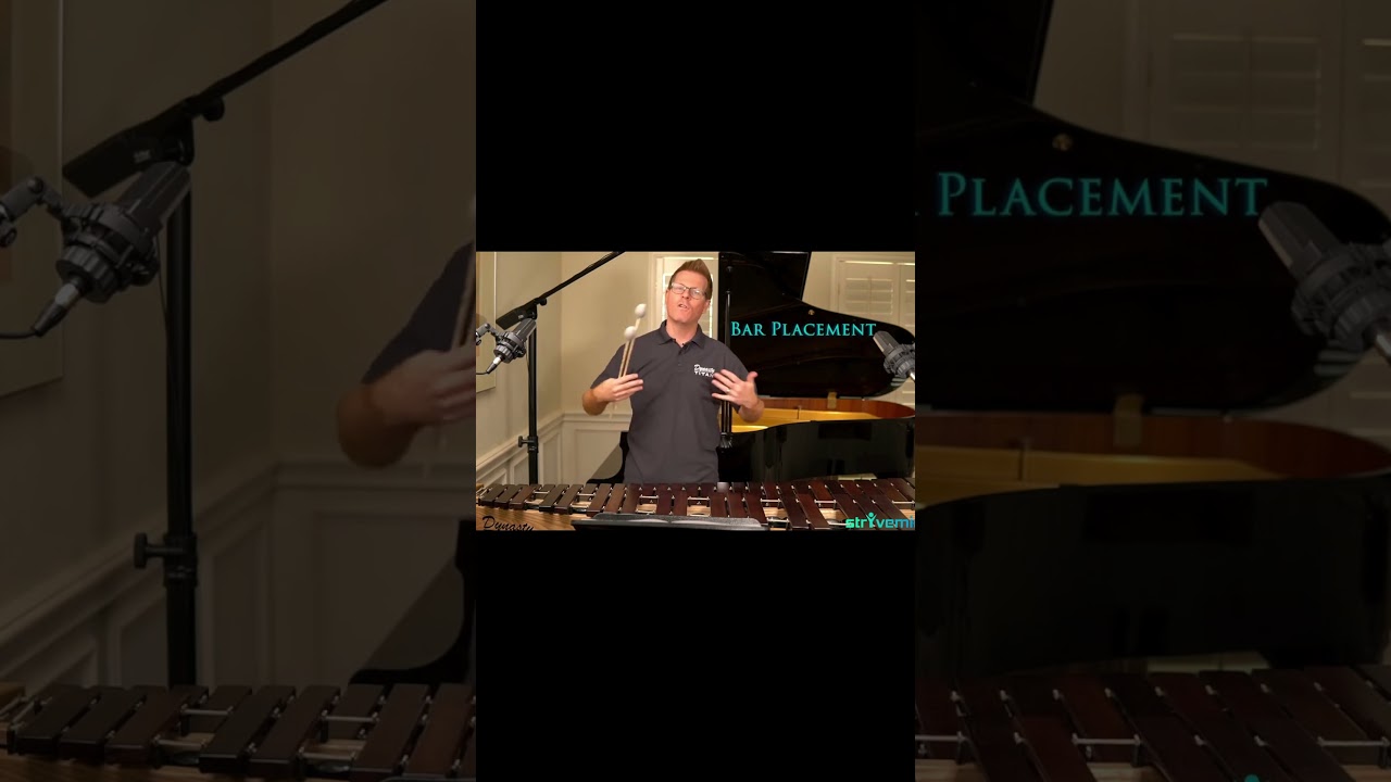 Two Mallet Tutorial and Performance of Excerpt 1 Part 6