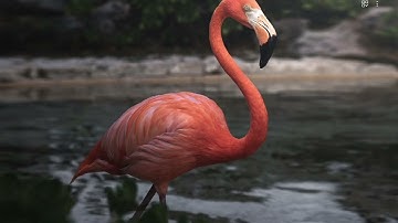 Lock screen slideshow part 1