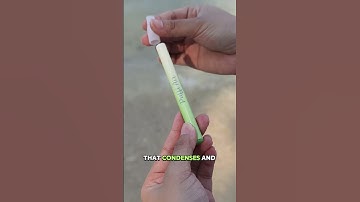 Mullein Lung Detox Aroma Diffuser - Puffi Air Shop