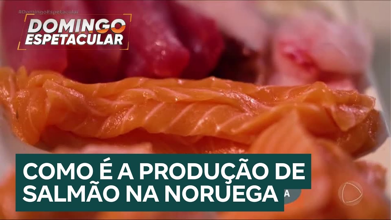 Veja como é a produção de salmão nas fazendas de água da Noruega