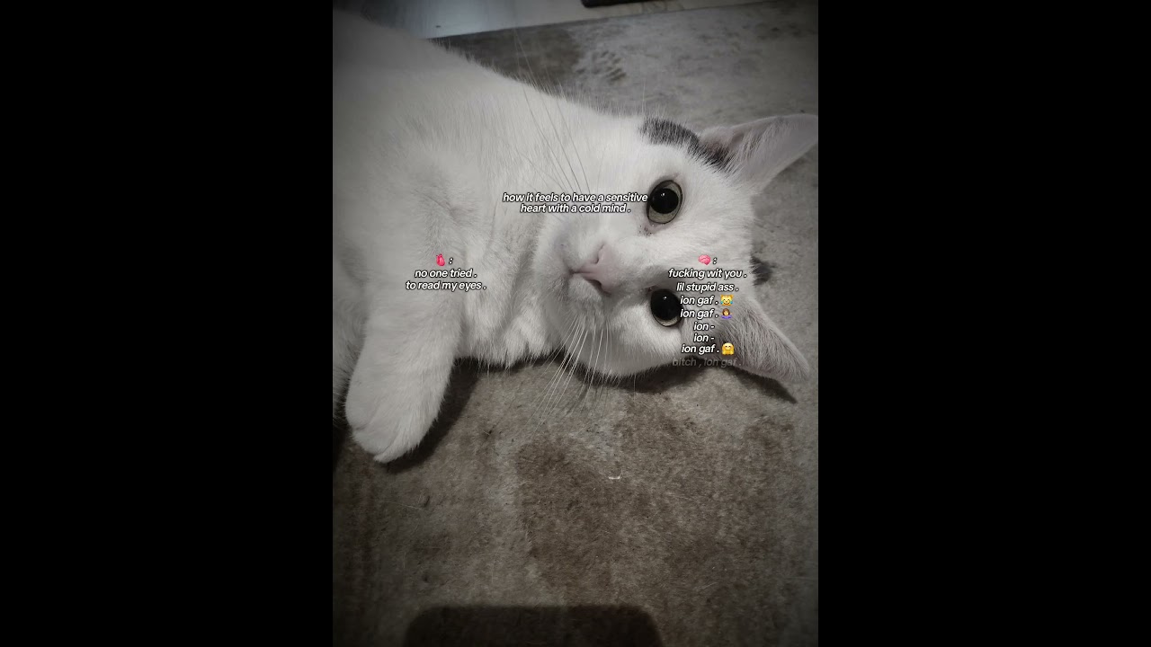 sensitive heart with a cold mind 