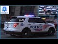 [Washington DC] 3x Metropolitan Police K-9 (Hi-Lo, Rumbler)