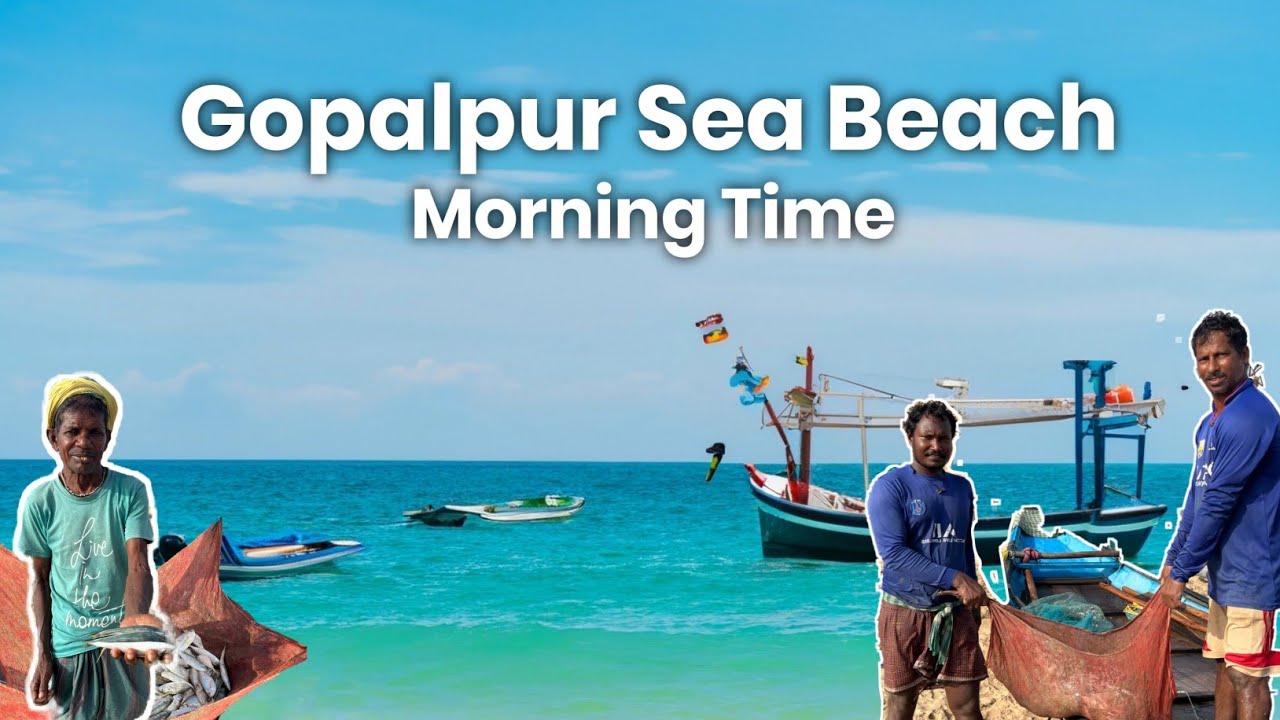 Morning view near Gopalpur beach 🏖️ and fisherman,Sea food #thetariniprasad #seabeach#odisha #ganjam