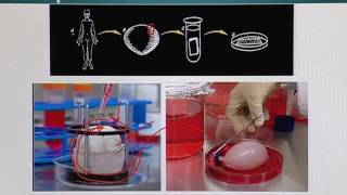 Topic 170 (BIO201 - Cell Biology)